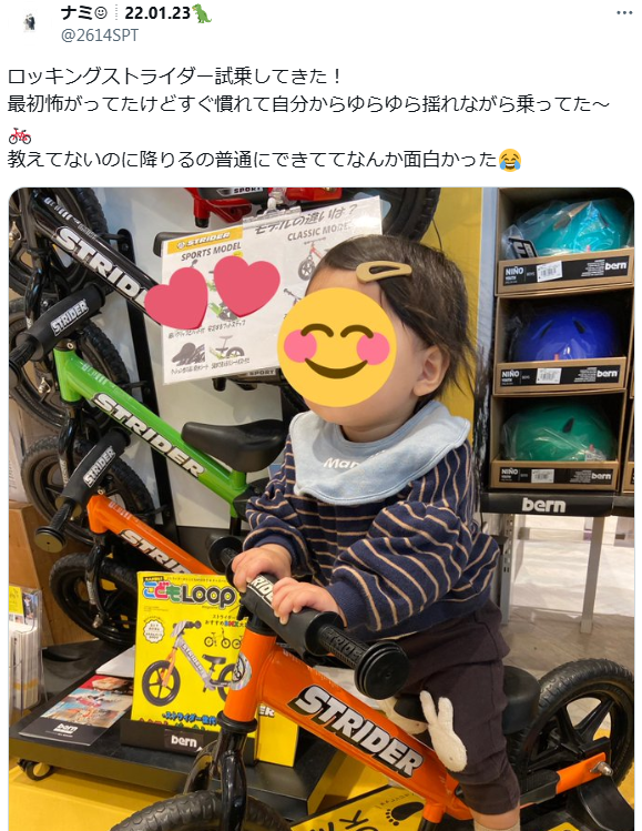教えてないのに降りるのが自分でできる