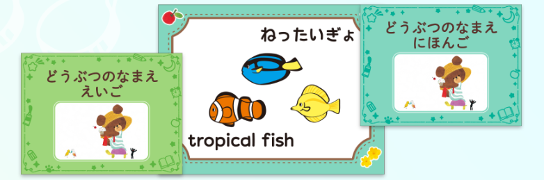 英語と日本が学べる